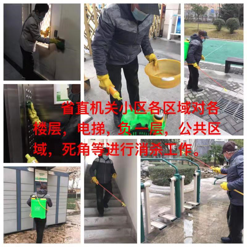 1658458053127045.jpg 6371591994982128907767364.jpg