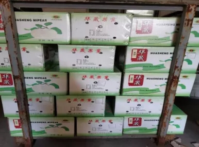 640.webp (2).jpg 640.webp (2).jpg